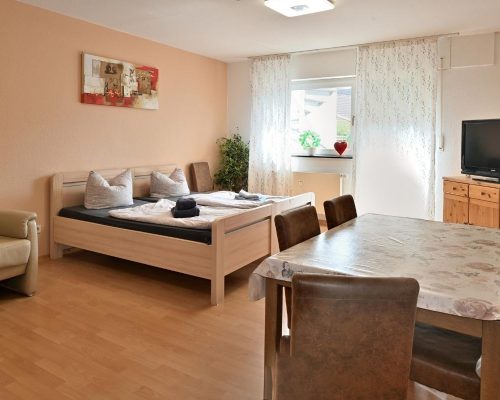 Appartment8-raum1