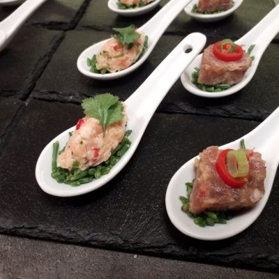 Gourmetlöffel Lachstartar und Tunatartar auf Salicorn